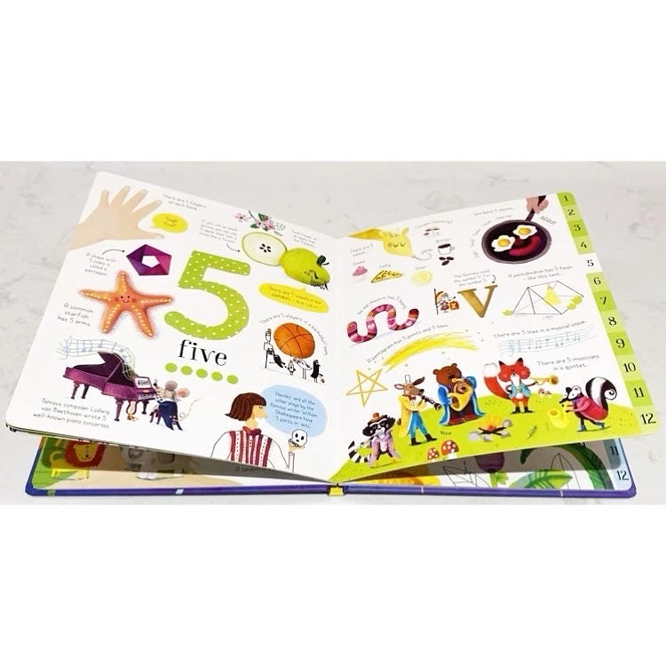 The Usborne Big Book of Numbers