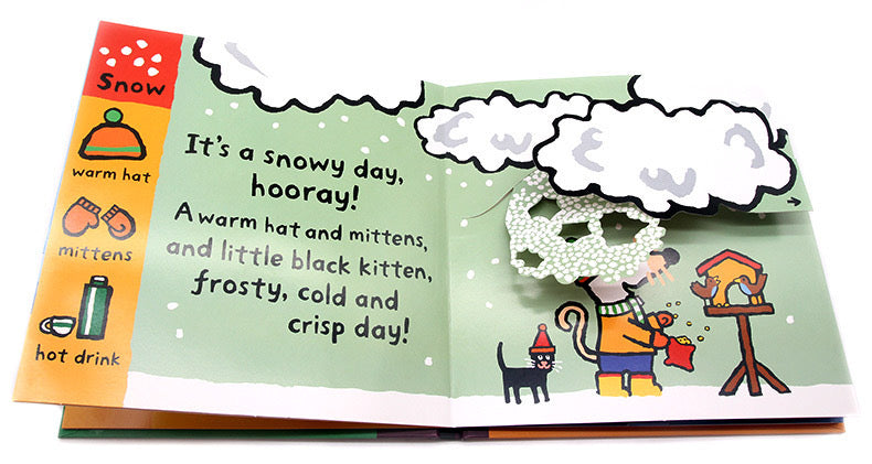 Maisy's Wonderful Weather Book