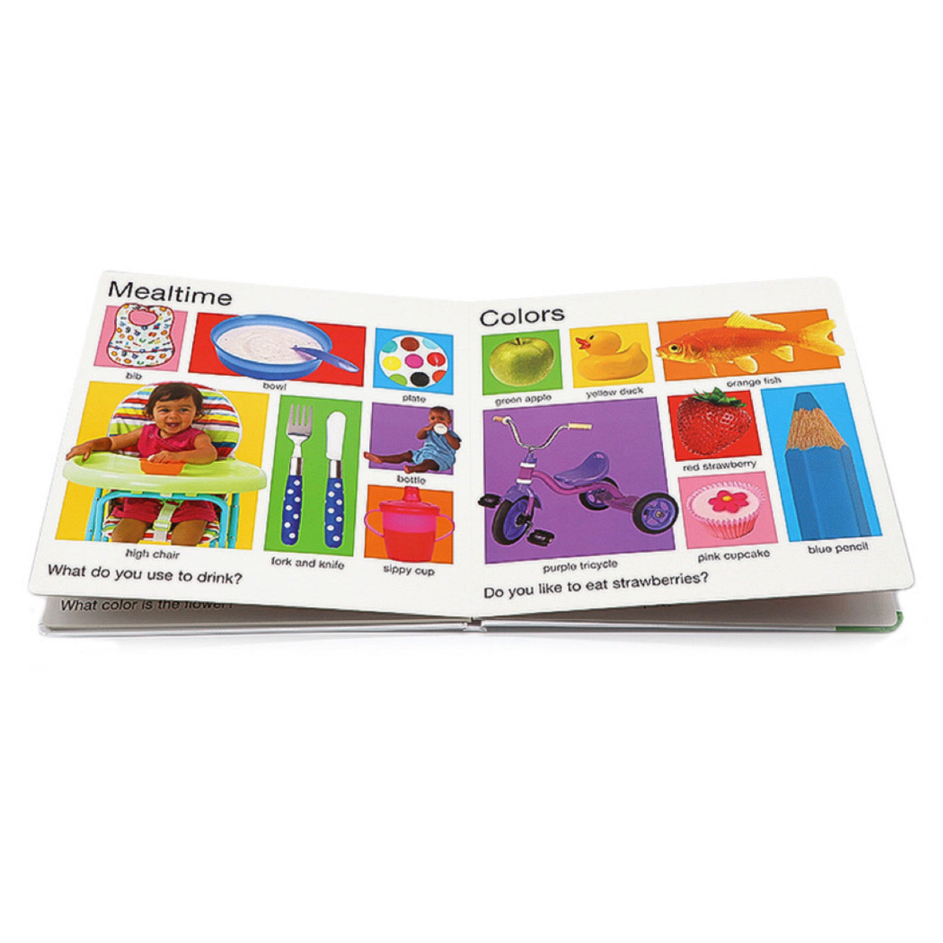 My Big Board Books: My Big Word Book (Board book)
