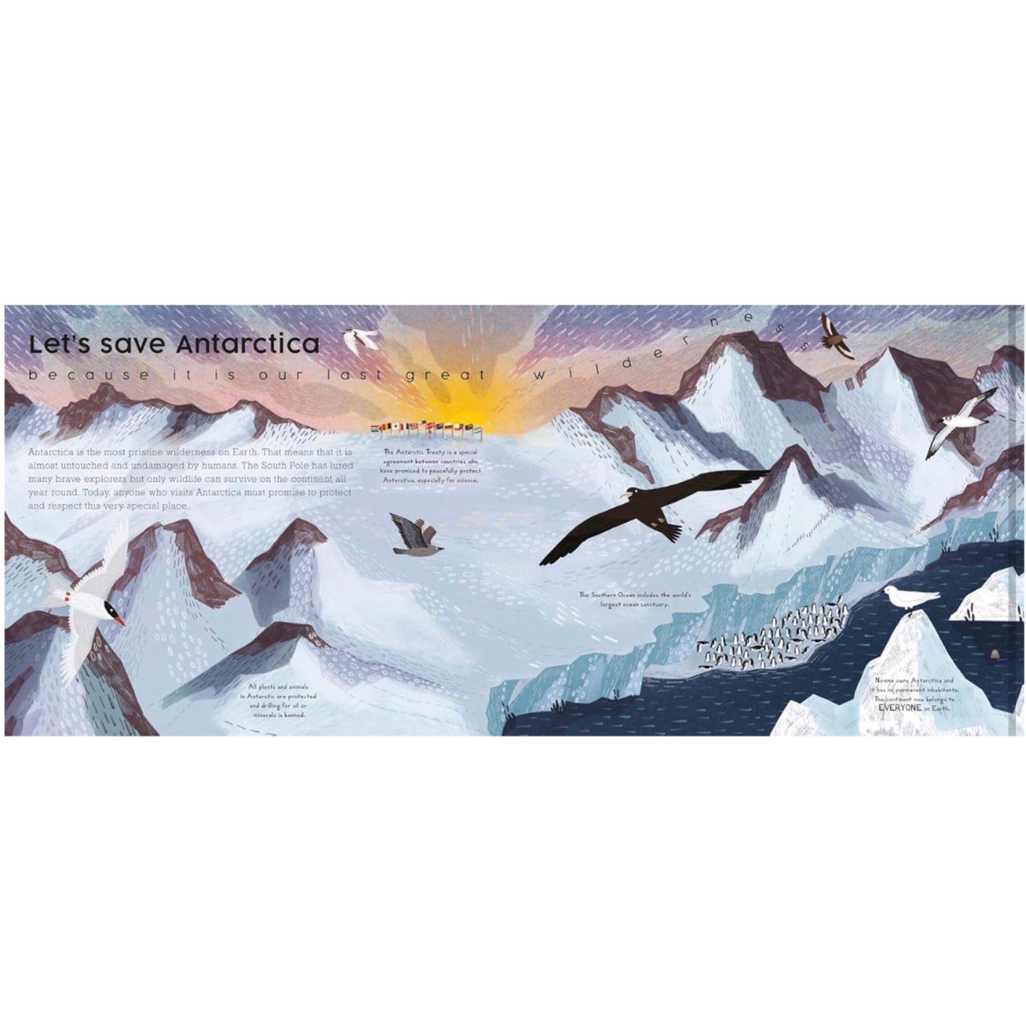 Let's Save Antarctica: Why we must protect our planet