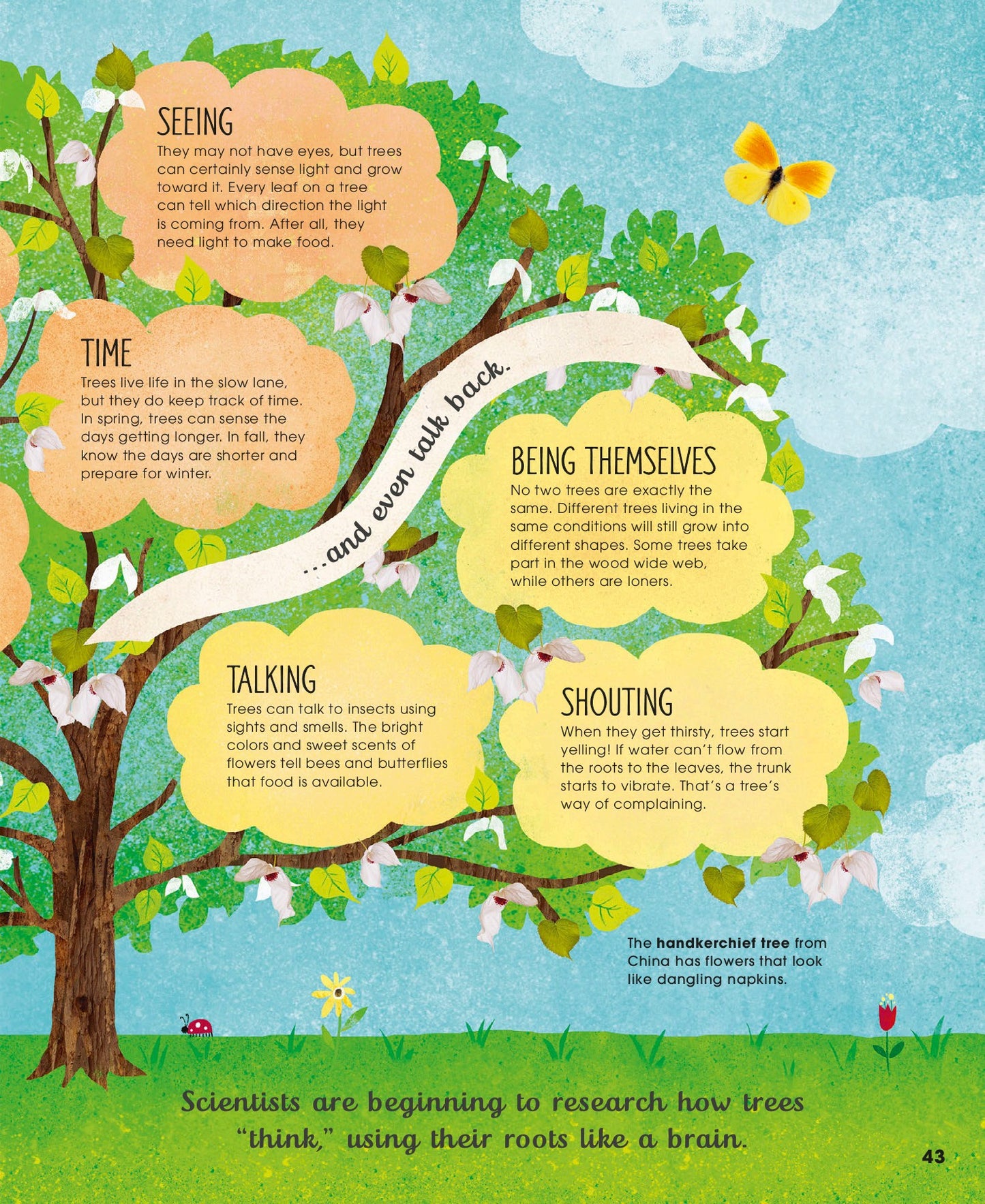 The Magic and Mystery of Trees