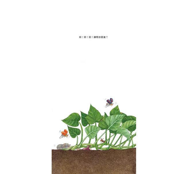 我的蔬菜寶寶(二版)