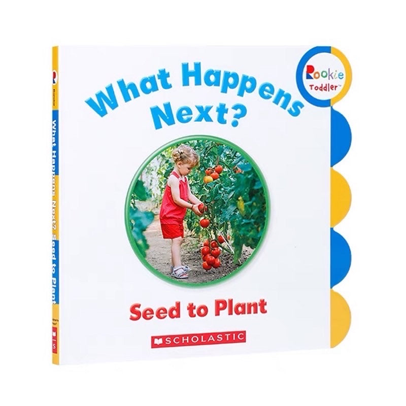 Rookie Toddler: What Happen Next? Seed to Plant