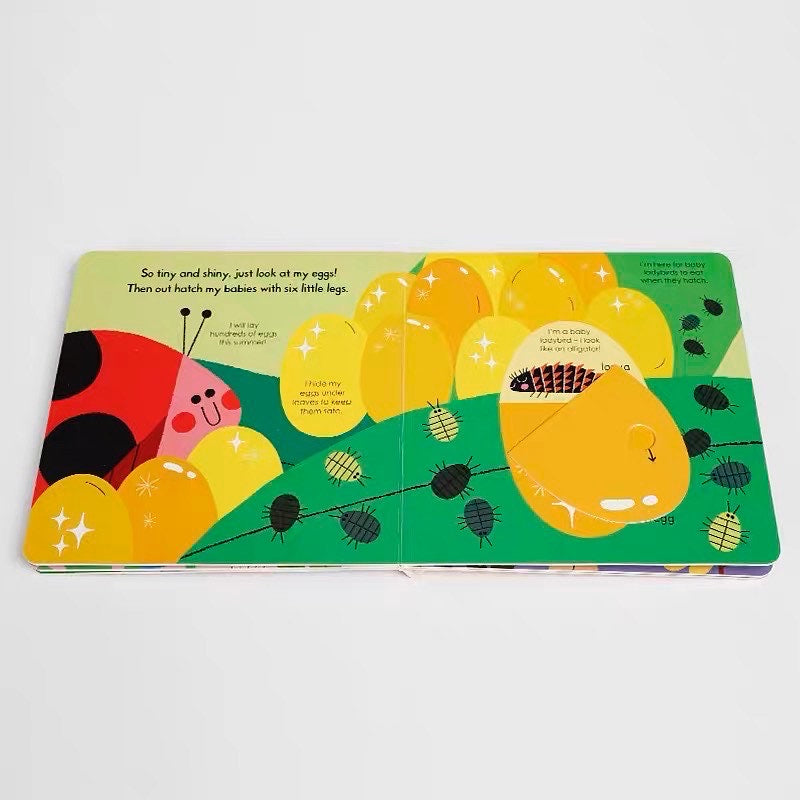 My Little Green World: Ladybird