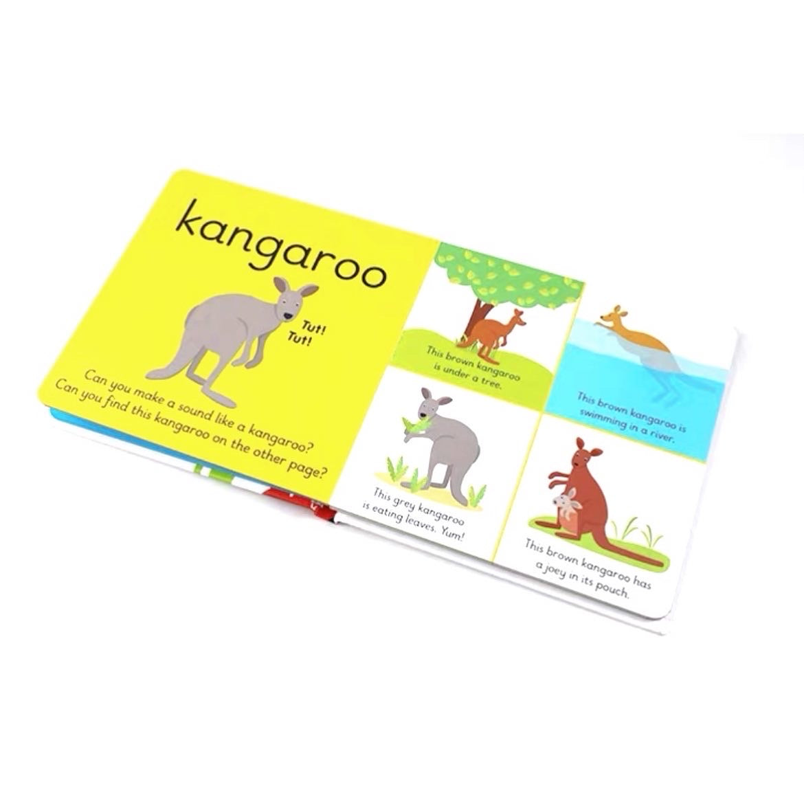 Ladybird Learners - My First Animals
