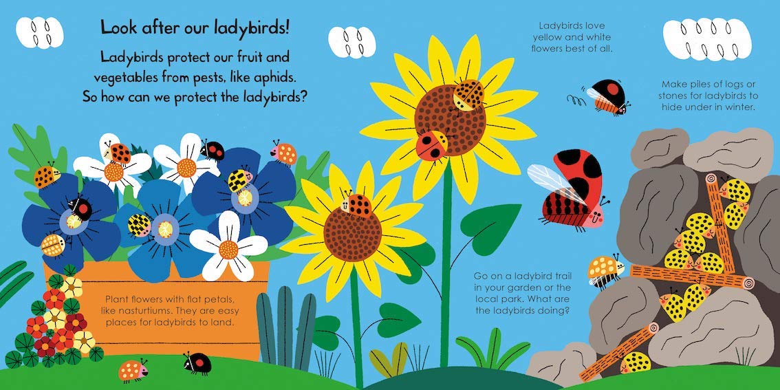 My Little Green World: Ladybird
