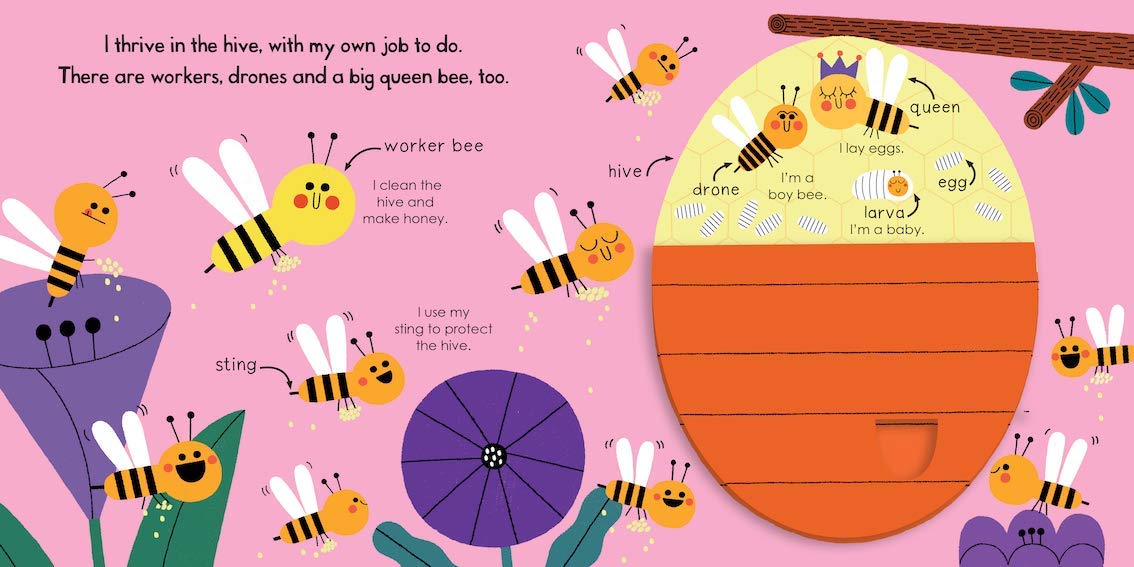 My Little Green World: Honeybee