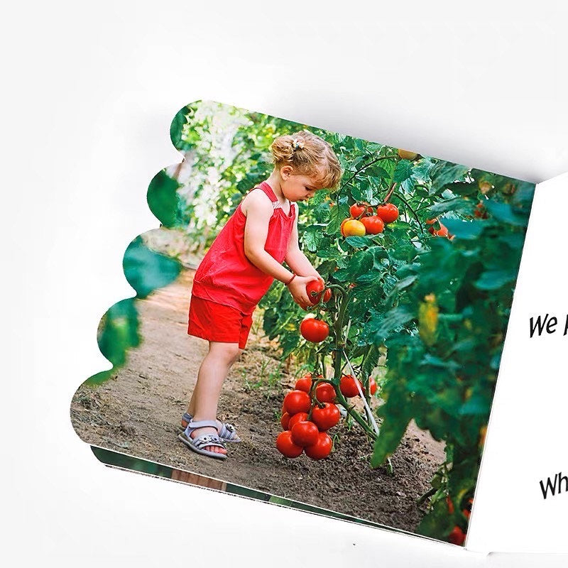Rookie Toddler: What Happen Next? Seed to Plant