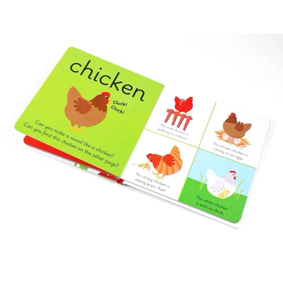 Ladybird Learners - My First Animals