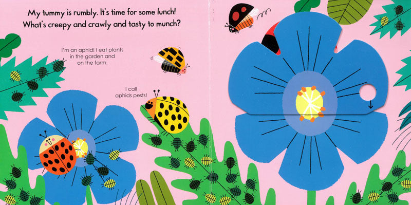 My Little Green World: Ladybird