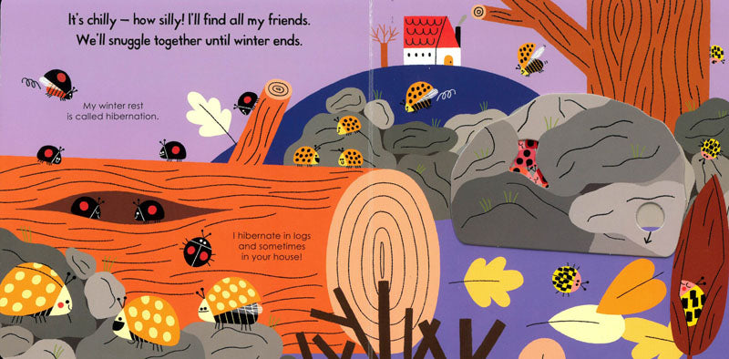 My Little Green World: Ladybird