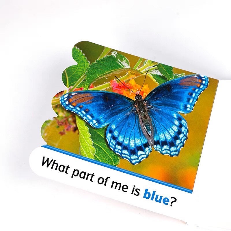 新手幼兒:什麼是藍色?