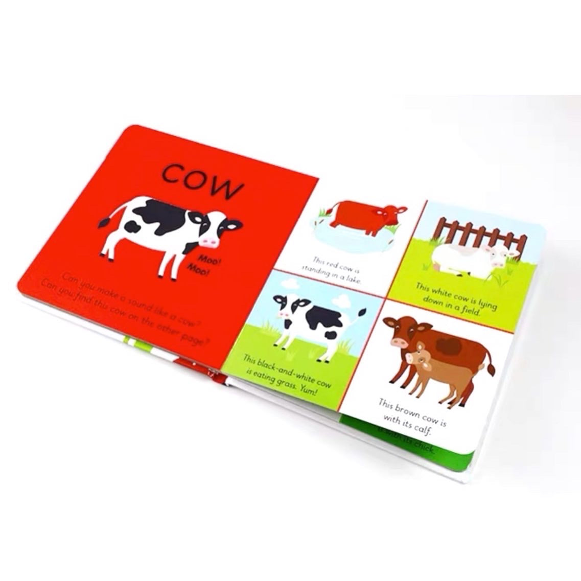 Ladybird Learners - My First Animals