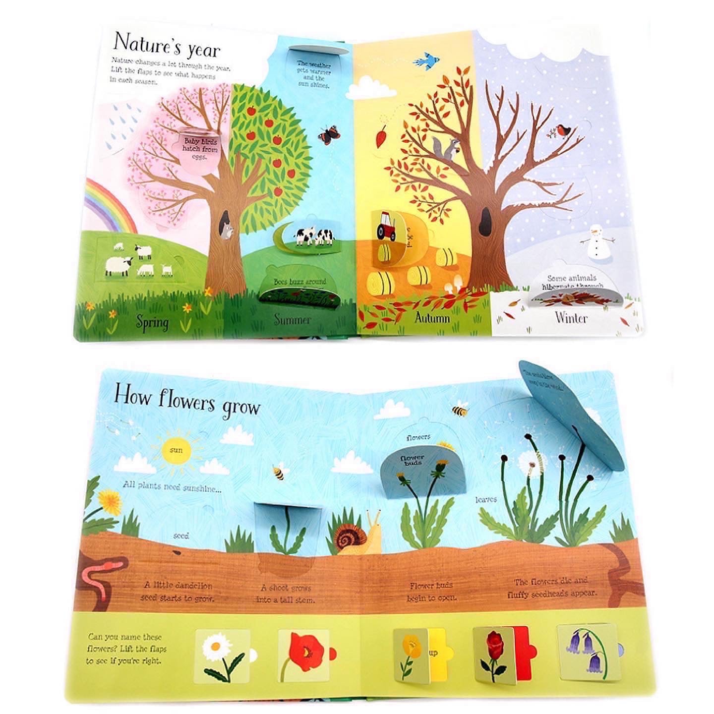 Usborne Lift-the-flap: Nature