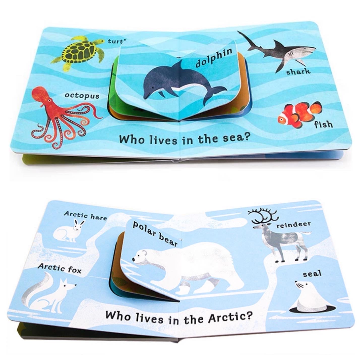 Mix & Match - Animal Homes