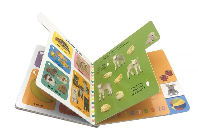 Lift-The-Flap Tab: Colors, Numbers, Shapes