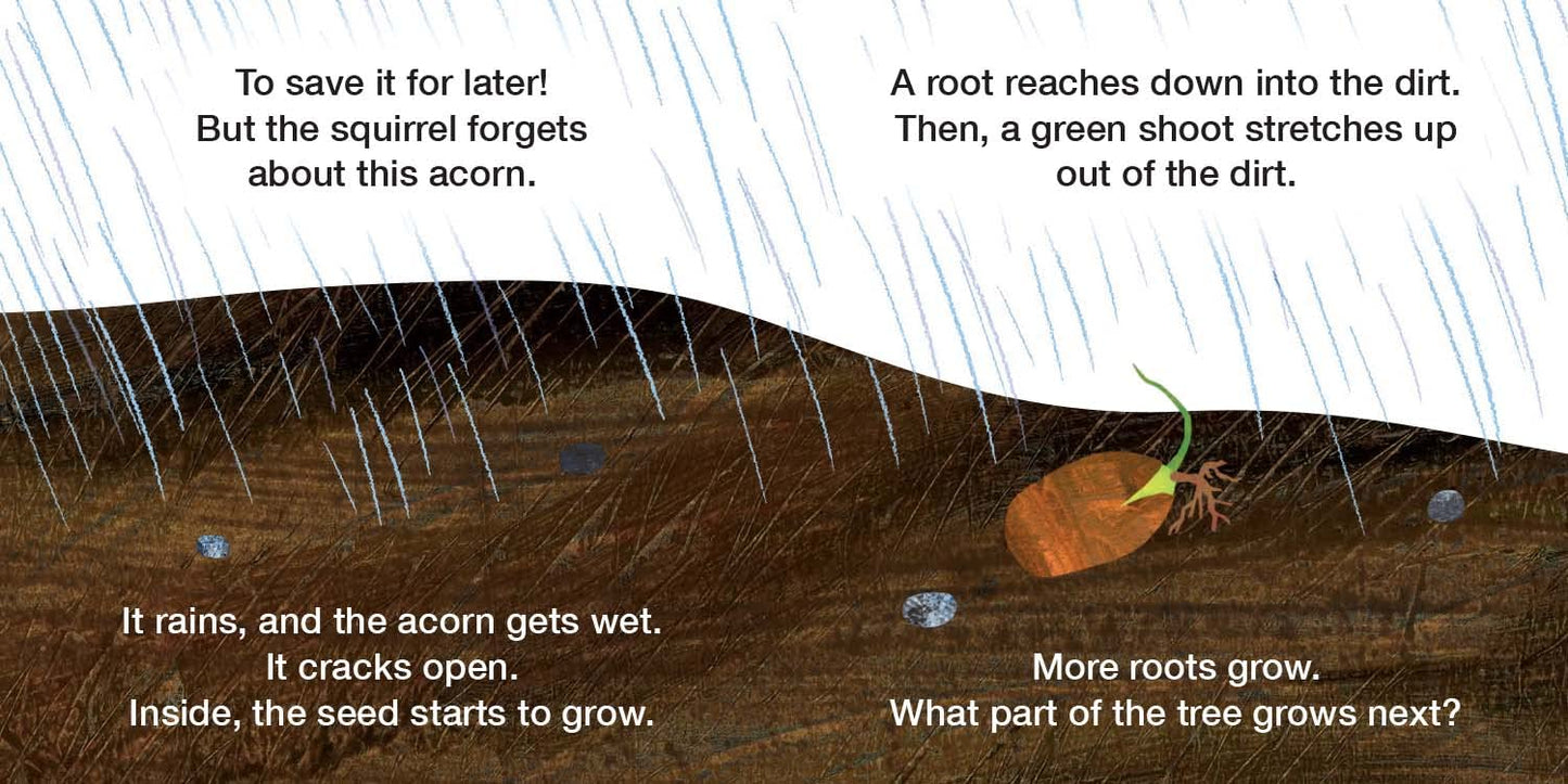 How Does a Seed Sprout?: Life Cycles with The Very Hungry Caterpillar