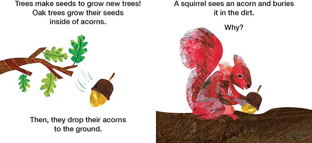 How Does a Seed Sprout?: Life Cycles with The Very Hungry Caterpillar