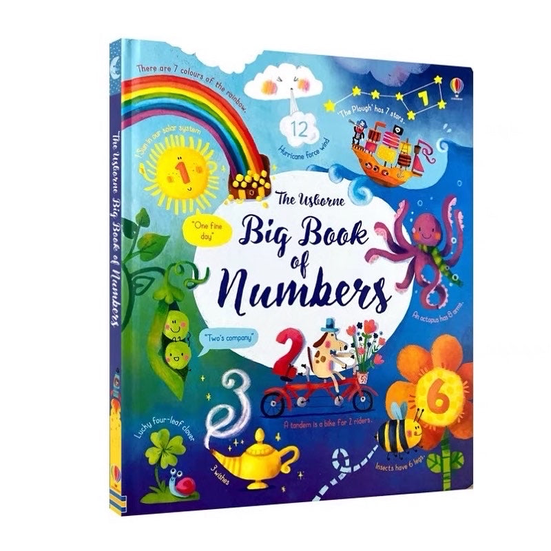 The Usborne Big Book of Numbers