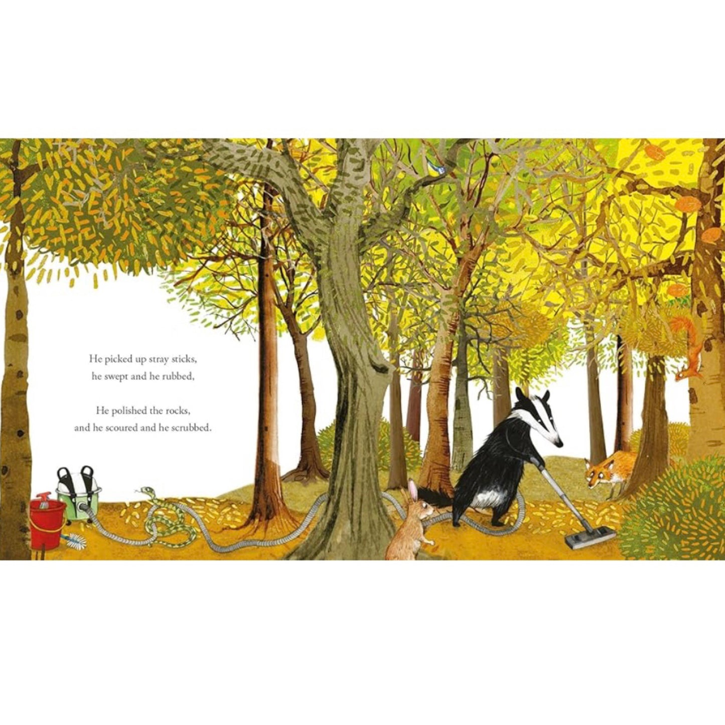 Tidy: A funny story about the importance of trees