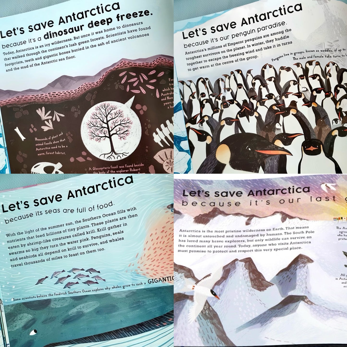 Let's Save Antarctica: Why we must protect our planet