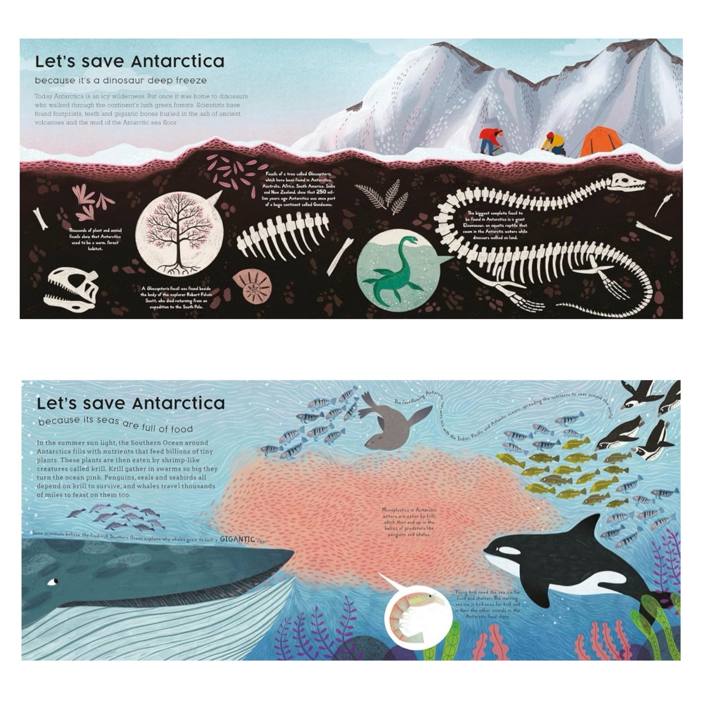 Let's Save Antarctica: Why we must protect our planet