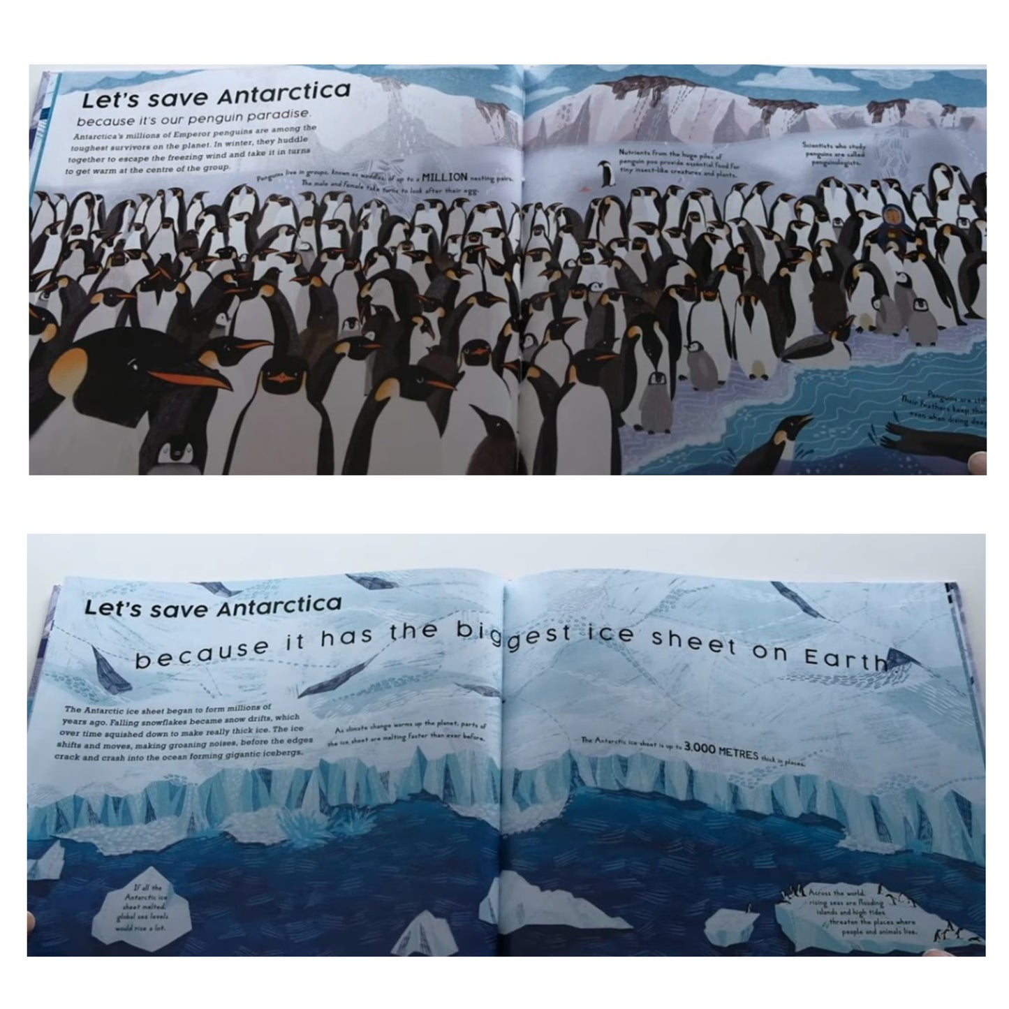 Let's Save Antarctica: Why we must protect our planet