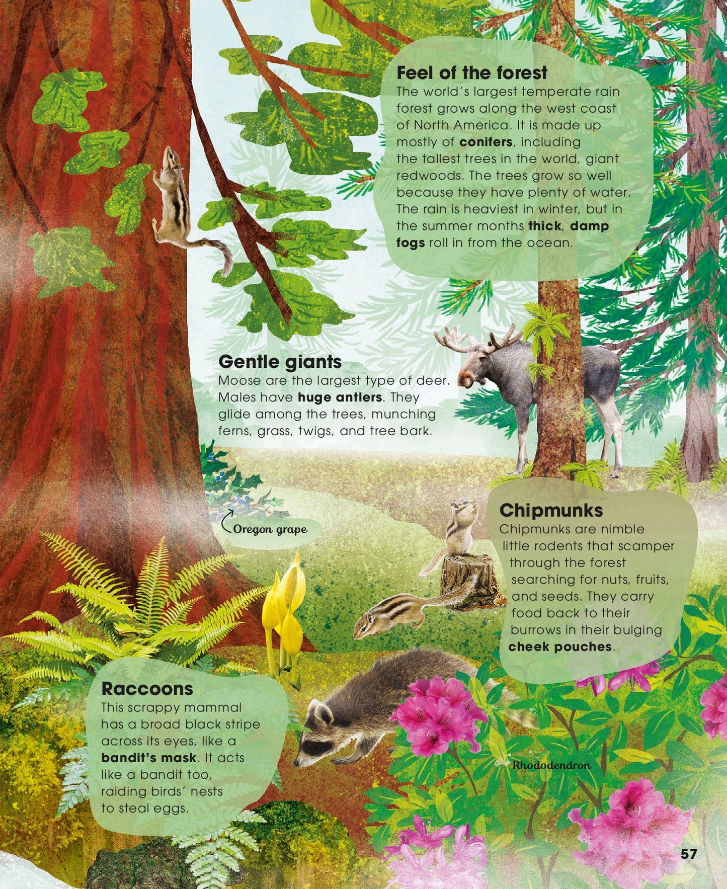 The Magic and Mystery of Trees