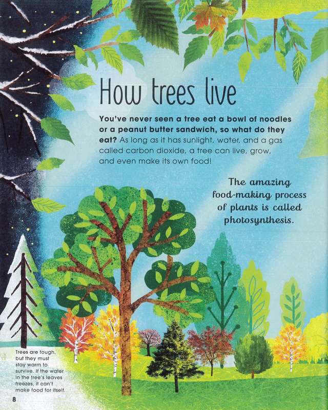 The Magic and Mystery of Trees