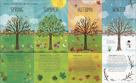 The Magic and Mystery of Trees