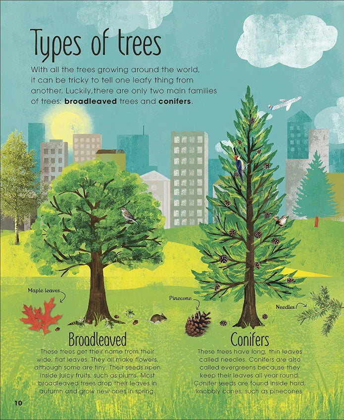 The Magic and Mystery of Trees