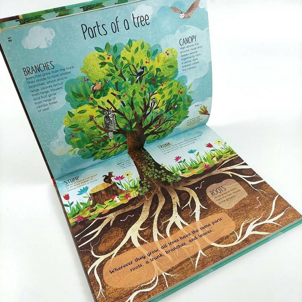 The Magic and Mystery of Trees