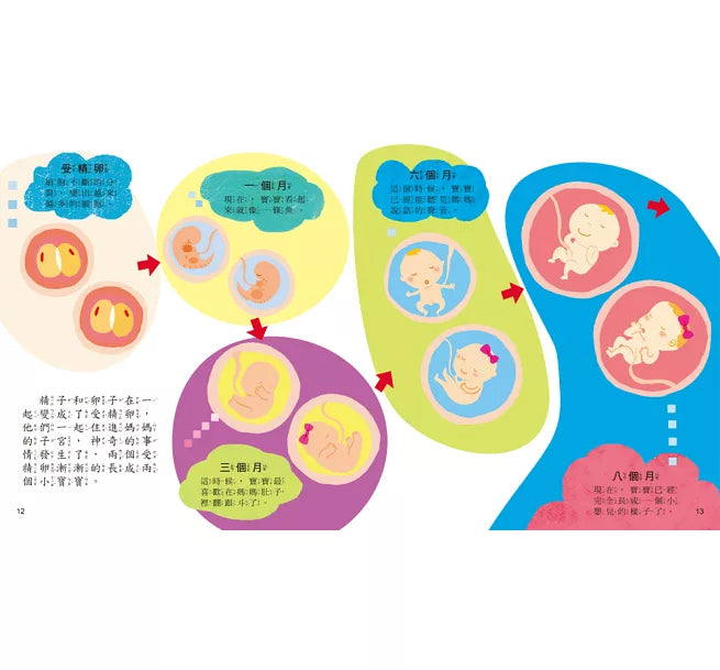 媽媽，我從哪裡來