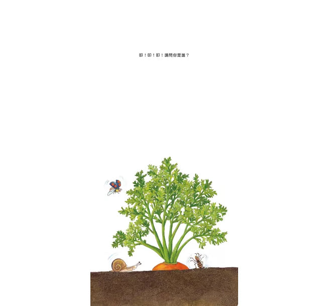 我的蔬菜寶寶（二版）