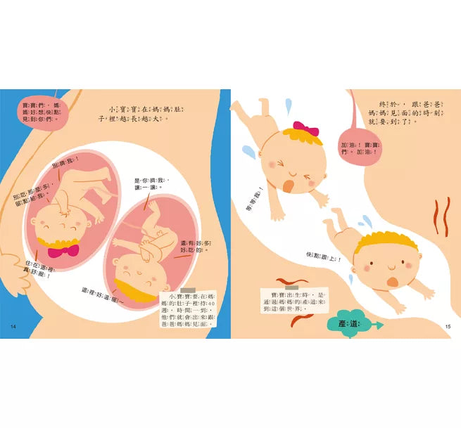 媽媽，我從哪裡來