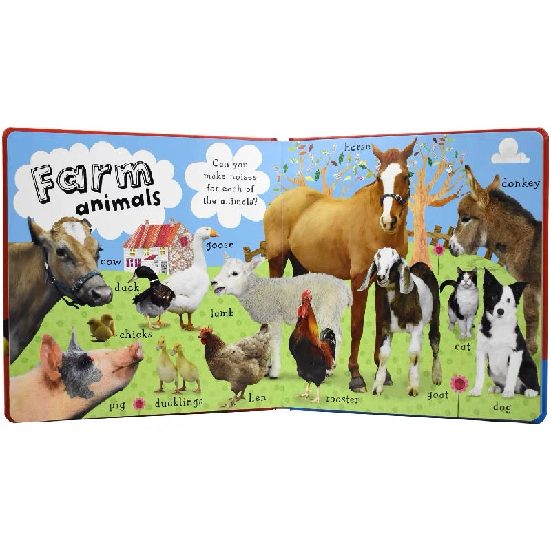 101 First Animals