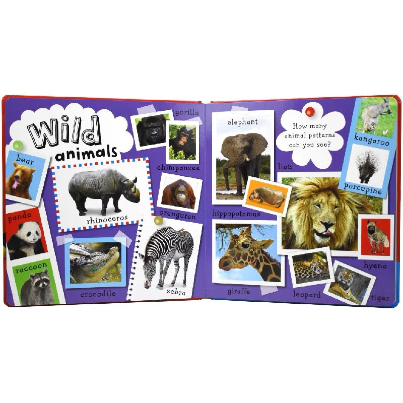 101 First Animals