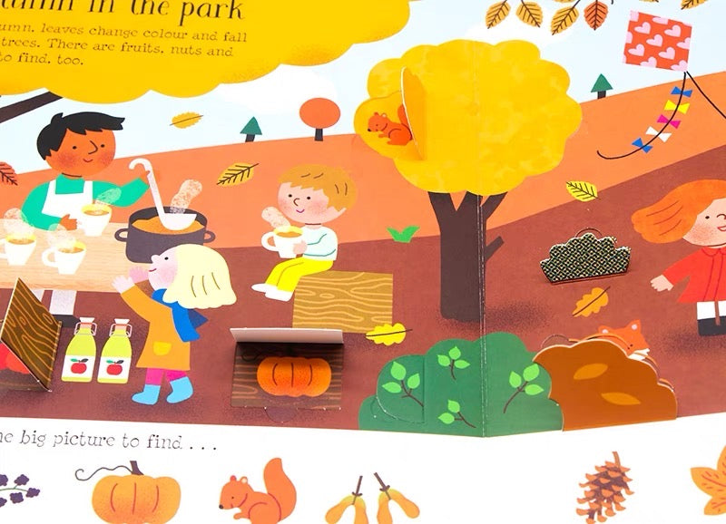 Usborne Lift-the-flap: Seasons