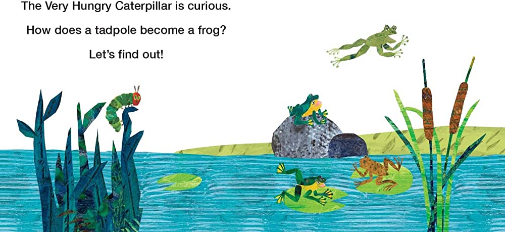 How Does a Tadpole Grow?: Life Cycles with The Very Hungry Caterpillar