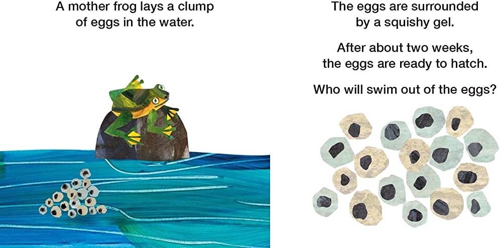 How Does a Tadpole Grow?: Life Cycles with The Very Hungry Caterpillar
