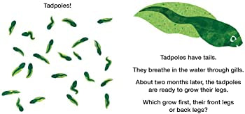 How Does a Tadpole Grow?: Life Cycles with The Very Hungry Caterpillar